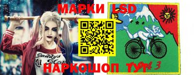 крисы Краснодар