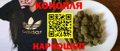 крисы Краснодар