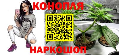 наркотики Краснознаменск