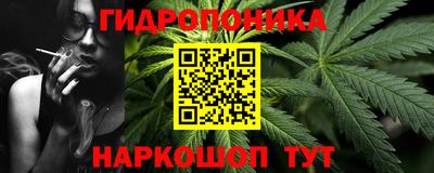 крисы Краснодар