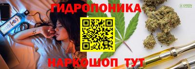 крисы Краснодар