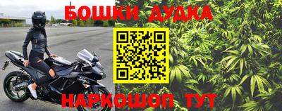 крисы Краснодар