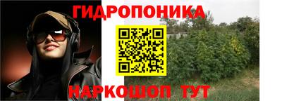 крисы Краснодар
