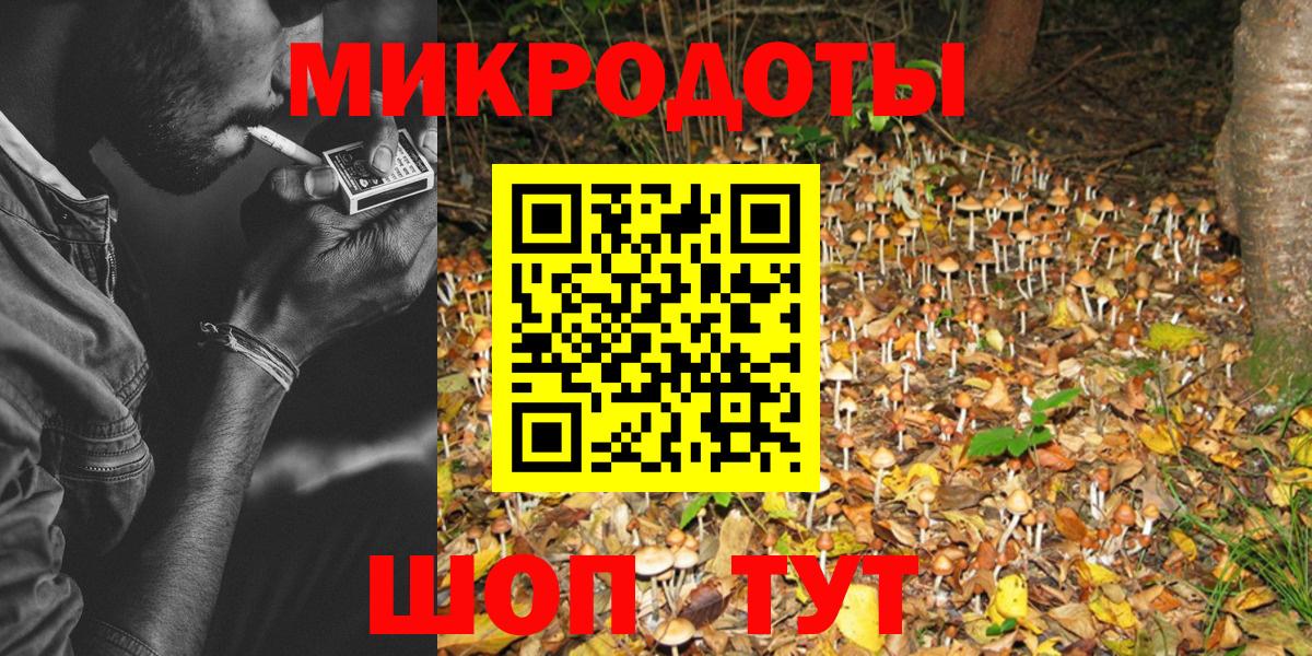 Псилоцибиновые грибы мицелий Калининград